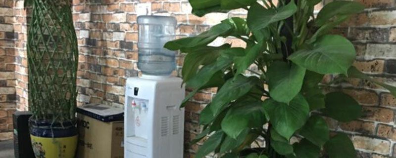 绿苔藓怎么去除