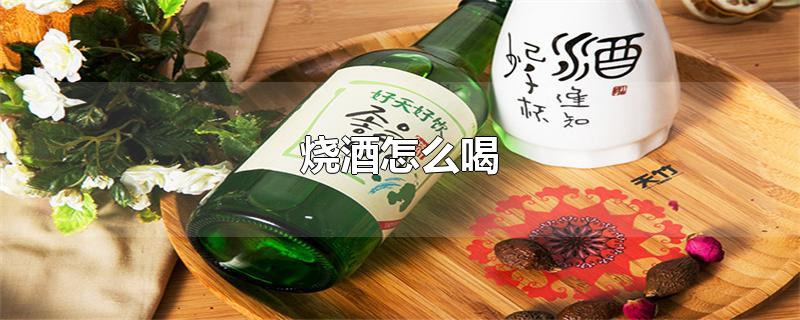 烧酒怎么喝