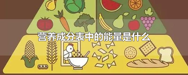 营养成分表中的能量是什么