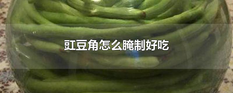 豇豆角怎么腌制好吃