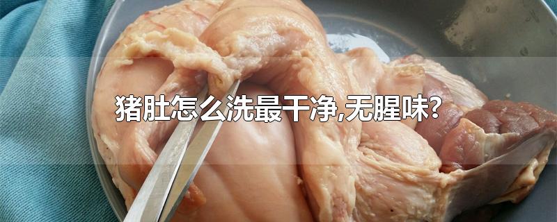 猪肚怎么洗最干净,无腥味?