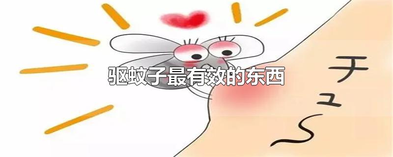 驱蚊子最有效的东西