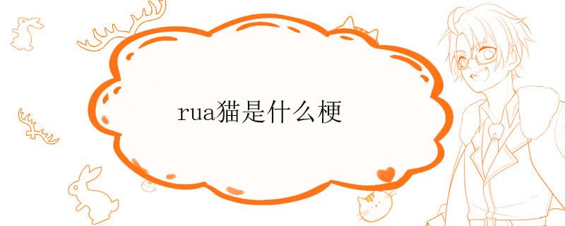 rua猫是什么梗