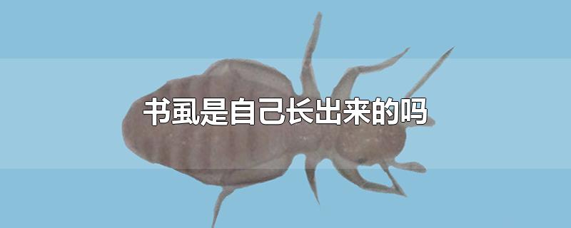 书虱是自己长出来的吗