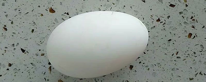 青皮鸭蛋和白皮鸭蛋的区别
