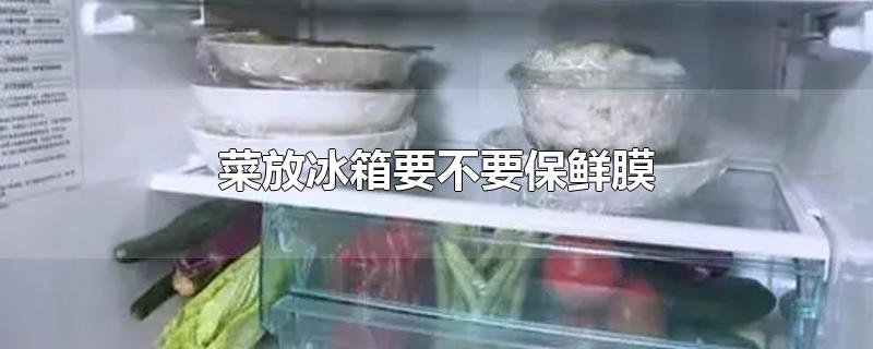 菜放冰箱要不要保鲜膜