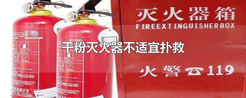 干粉灭火器不适宜扑救