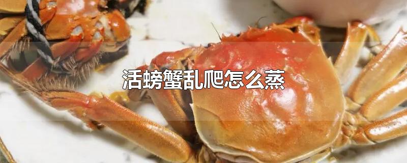 活螃蟹乱爬怎么蒸