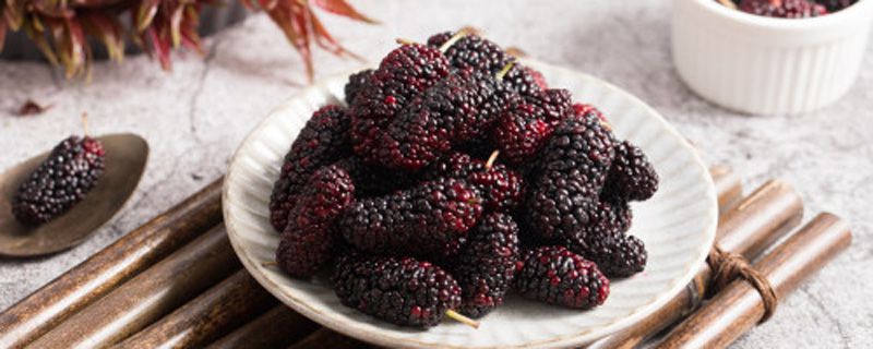 为什么桑葚果实会白掉干掉