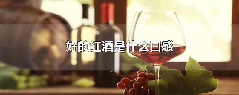 好的红酒是什么口感
