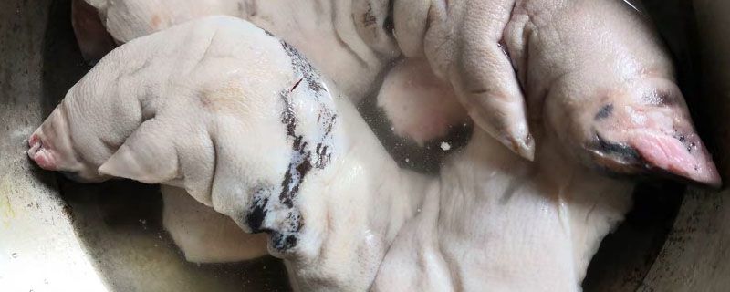 猪蹄为什么要用滚油炸后再卤