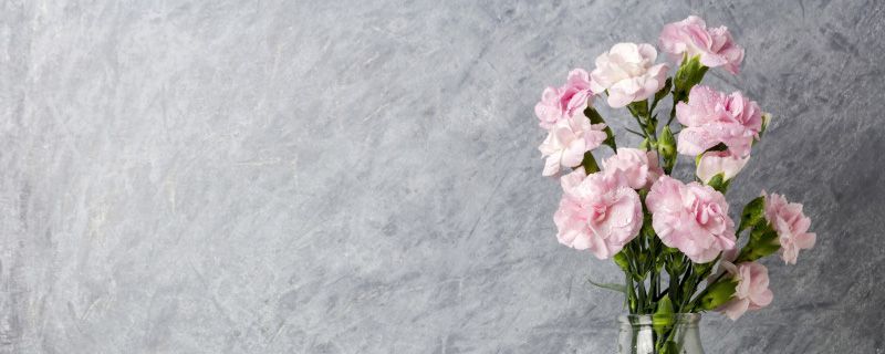 18朵康乃馨花语是什么