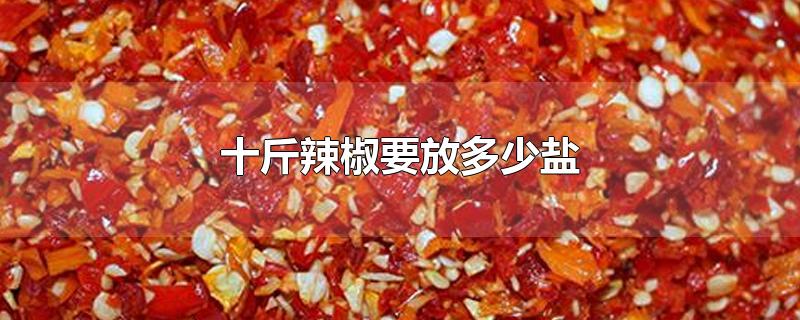 十斤辣椒要放多少盐
