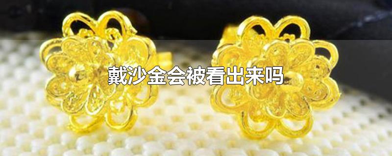 戴沙金会被看出来吗