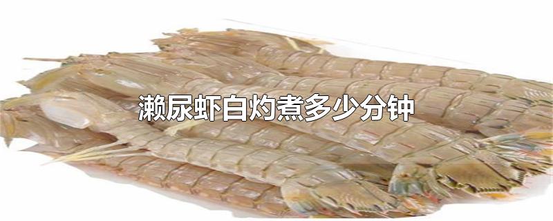 濑尿虾白灼煮多少分钟