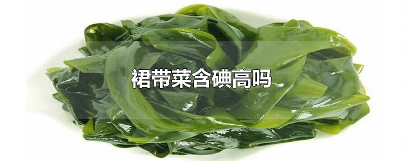 裙带菜含碘高吗