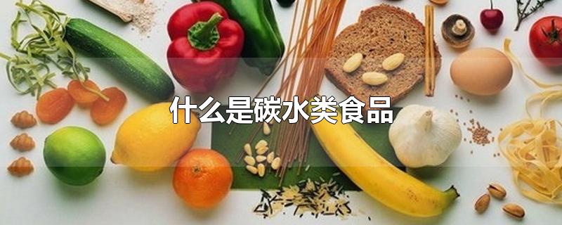 什么是碳水类食品