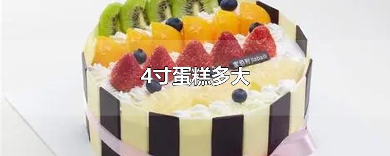 4寸蛋糕多大
