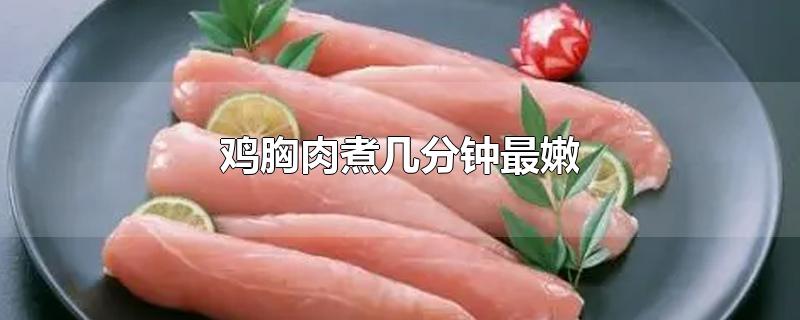 鸡胸肉煮几分钟最嫩