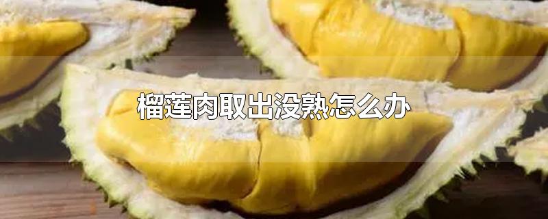 榴莲肉取出没熟怎么办