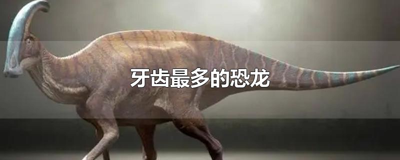 牙齿最多的恐龙