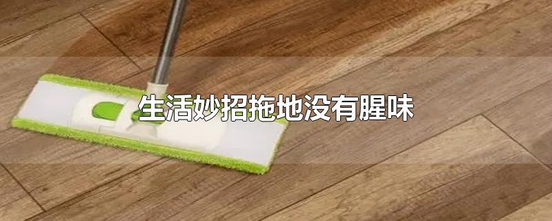 生活妙招拖地没有腥味