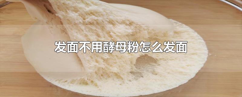 发面不用酵母粉怎么发面