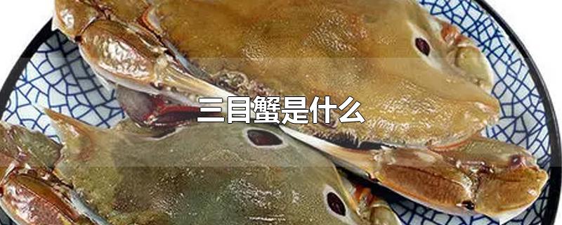 三目蟹是什么