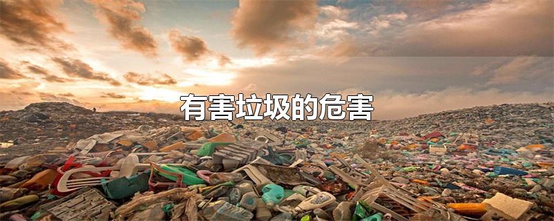 有害垃圾的危害