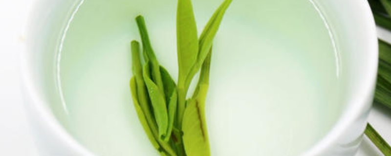 雀舌是什么类型茶叶