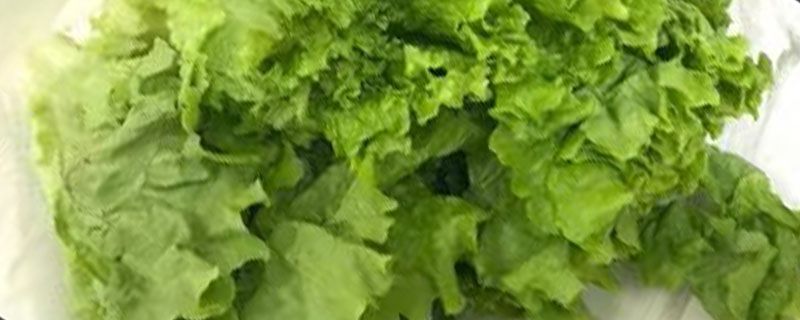 洗生菜为什么有泡沫