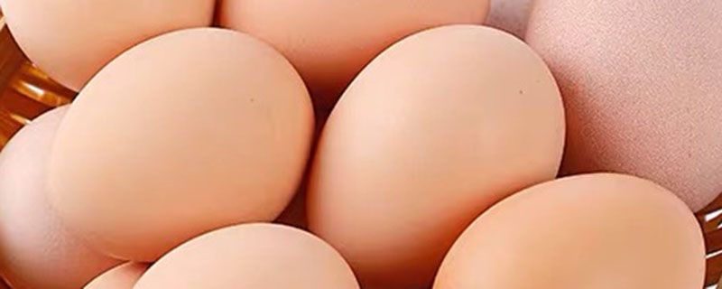 怎么把生鸡蛋变成无菌蛋