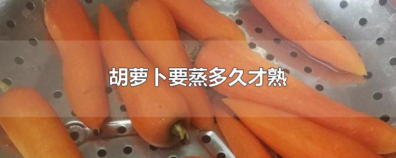 胡萝卜要蒸多久才熟
