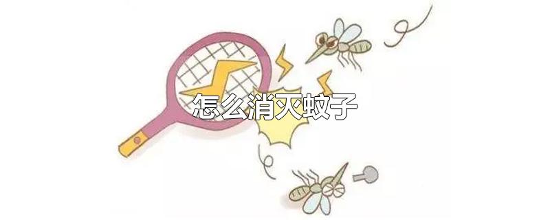怎么消灭蚊子