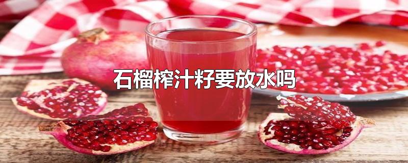石榴榨汁籽要放水吗