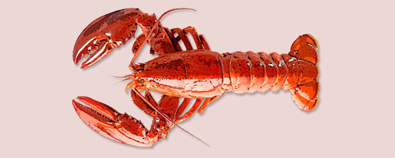 皮皮虾蒸熟了是绿的能吃吗