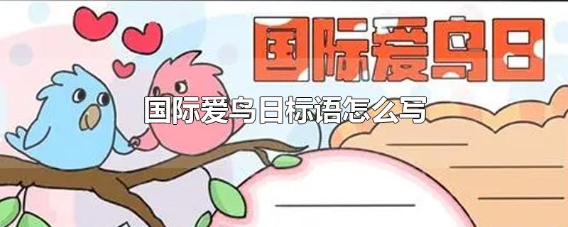 国际爱鸟日标语怎么写