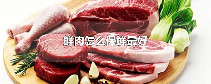 鲜肉怎么保鲜最好