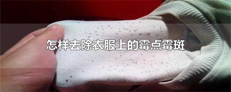 怎样去除衣服上的霉点霉斑