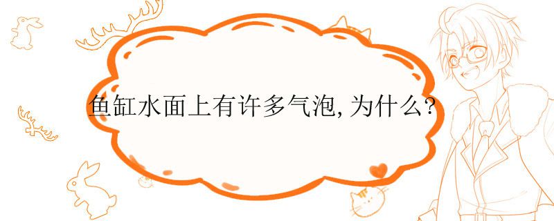 鱼缸水面上有许多气泡,为什么?