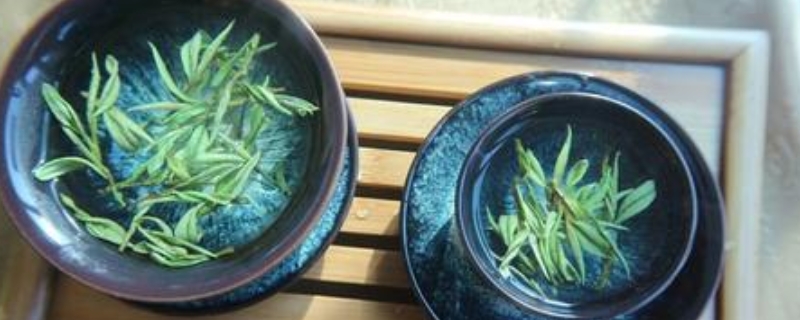 入水重生茶是什么茶叶