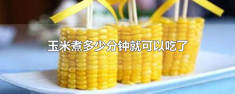 玉米煮多少分钟就可以吃了