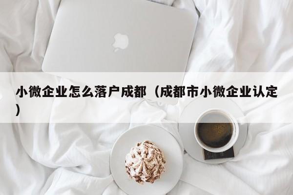 小微企业怎么落户成都（成都市小微企业认定）