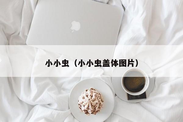小小虫（小小虫盖体图片）
